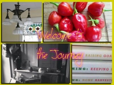 Restoration Kitchen: A Journey of Home, Food, Family, History and Restoration Image